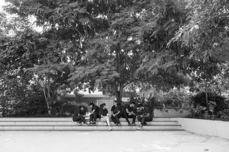 Northstar learners sitting together beneath a tree on campus