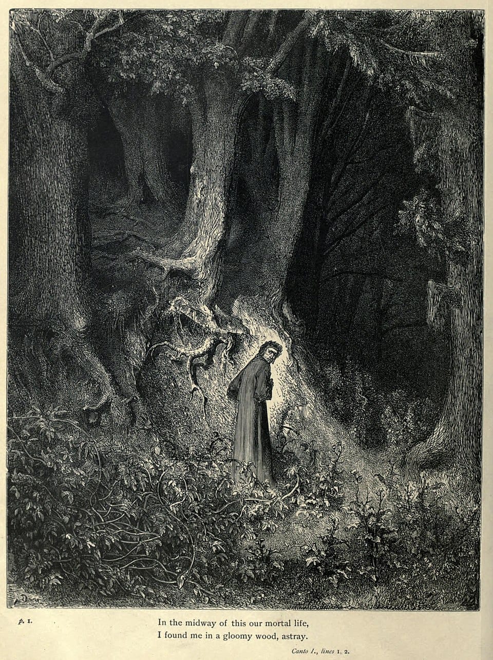 In the Forest with Dante